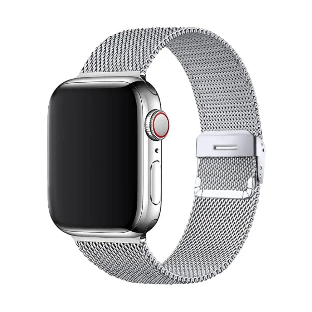 Amore Mesh Classic Silver / 38 40 41Mm Metal